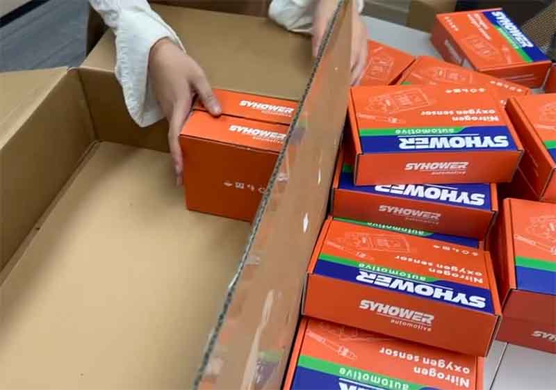 Nox Sensor Aginduak Kargatzen Erregistroa